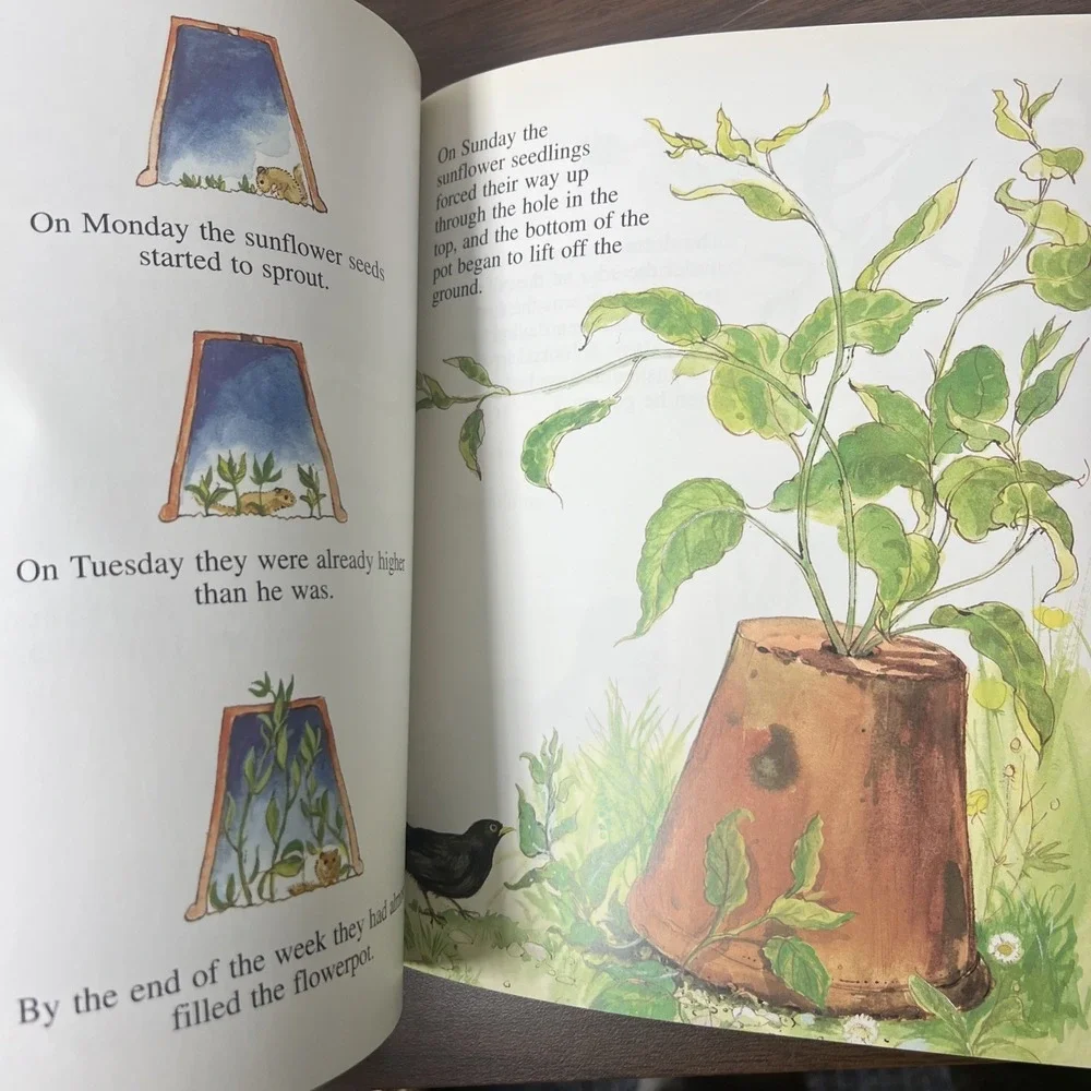 THE SLEEPY DORMOUSE (MARK EZRA/GAVIN‎ ROWE COLLECTION) Mint Condition 1995